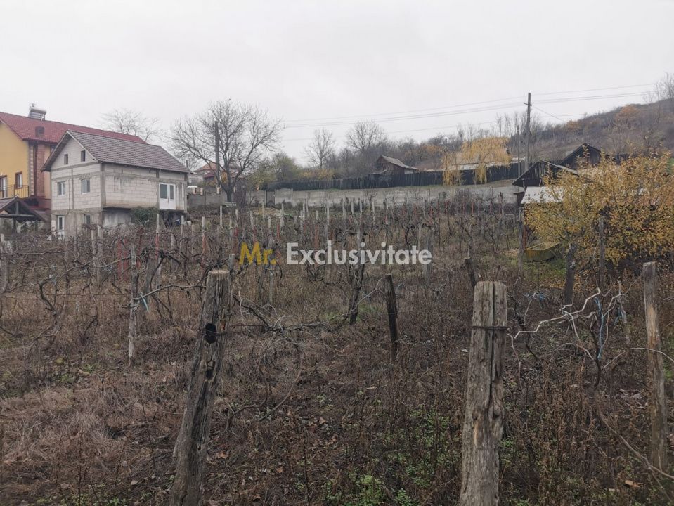 De vanzare casa in Argetoaia cu teren 7.000 mp - Poză 6