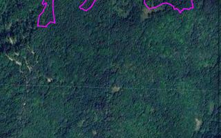 Teren pădure 64000 mp Pietroasa spre Boga - Poză 1
