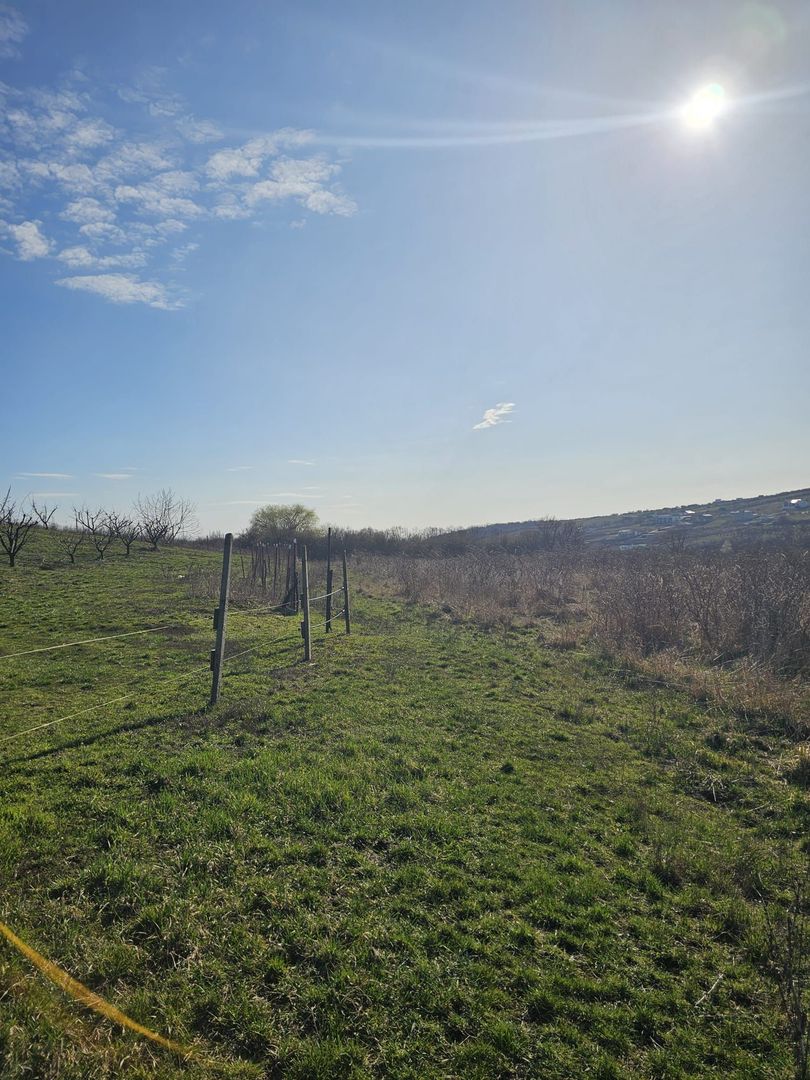Teren intravilan Saldabagiu de Munte 850 mp - Poză 4