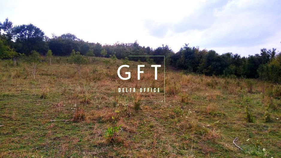 Teren 60 ari - oportunitate investitie - Satu Nou - Poză 1