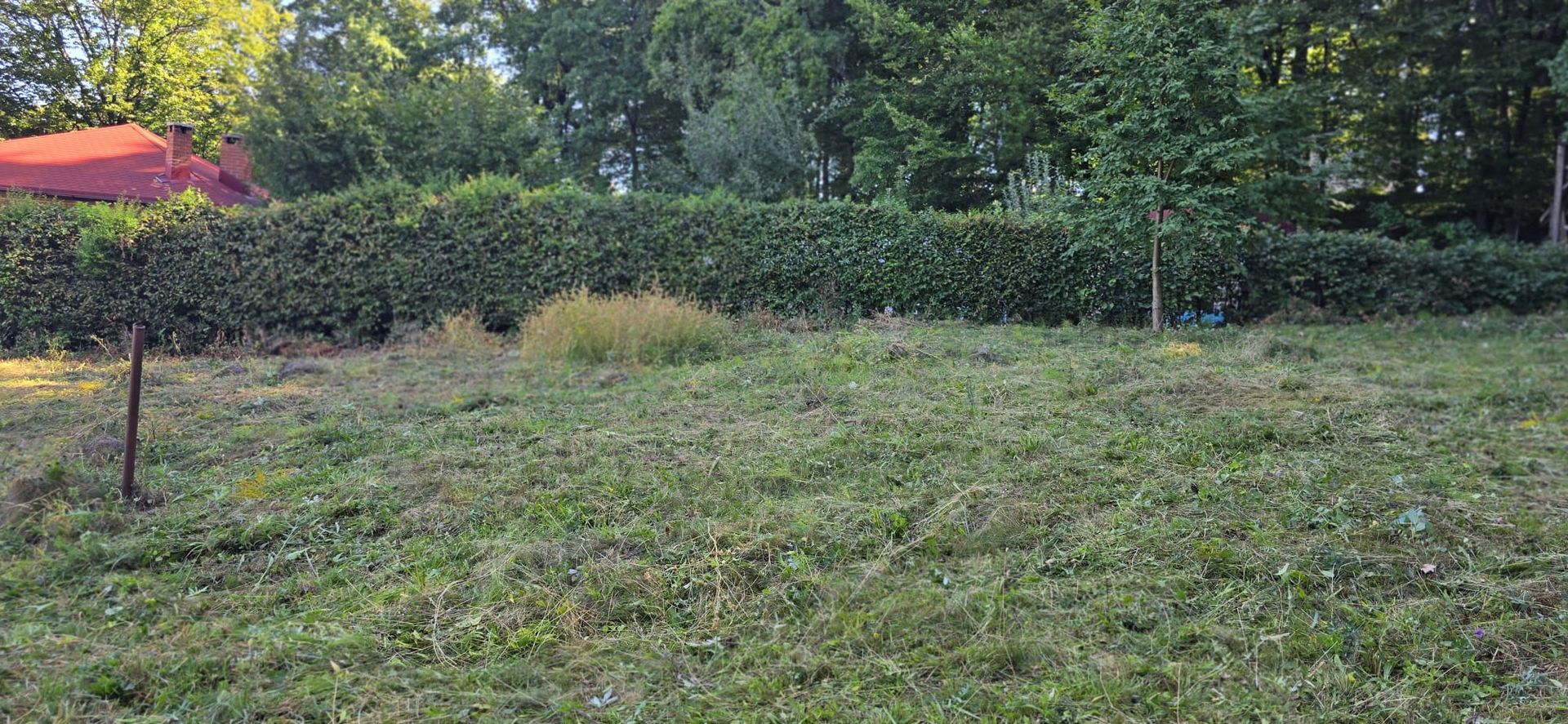Teren cu PUZ aprobat în Făget, 2072 mp - Poză 9