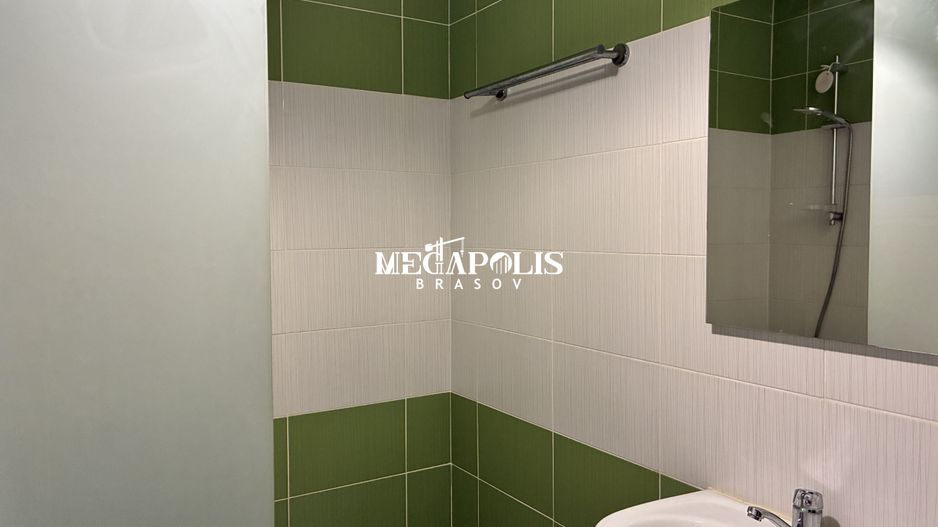 Studio / Tractorul / Pet- Friendly / Curte - Poză 8