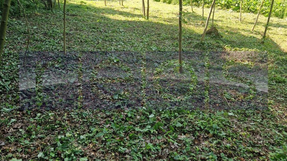 OPORTUNITATE- VANZARE- TEREN LAC  SNAGOV 1300mp - Poză 5