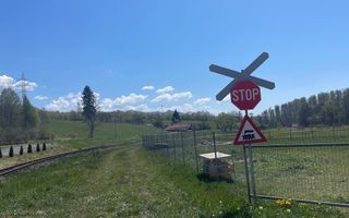 Teren intravilan 8900 mp-Sacadat-Sovata - Poză 6
