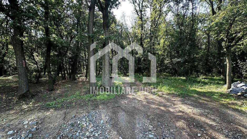 Teren intravilan – 1.450 mp | Jucu de Sus, marginea pădurii - Poză 7