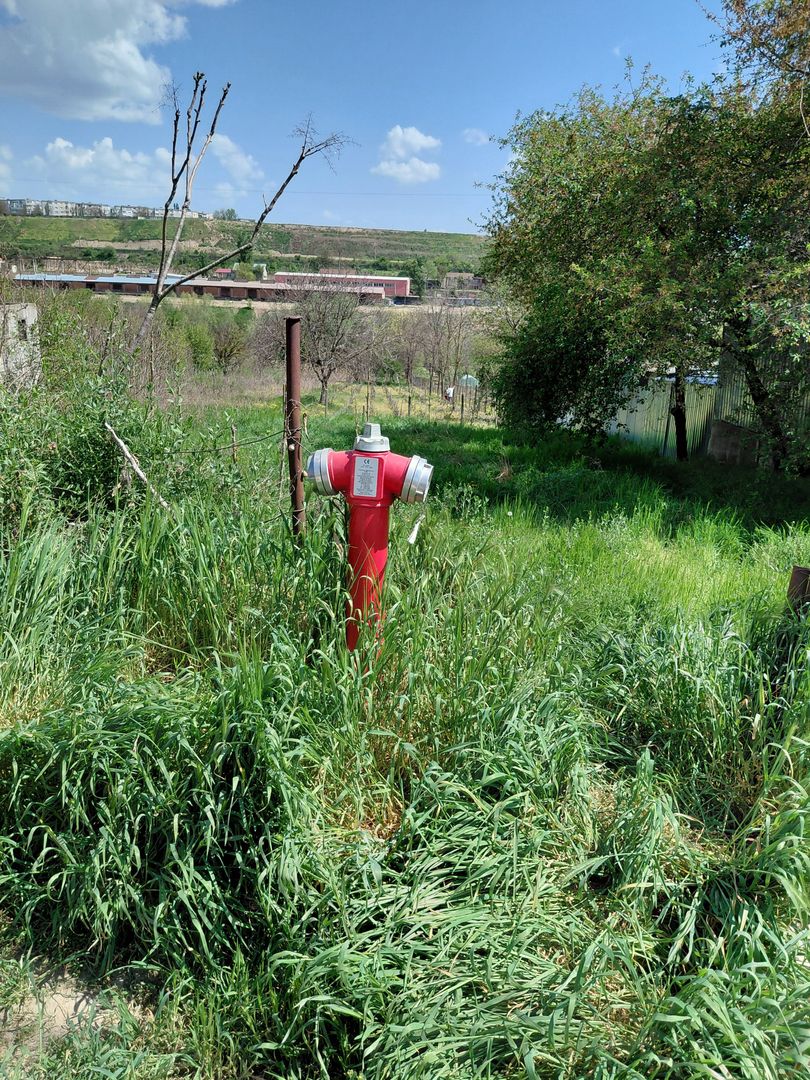 Teren intravilan 3.250 mp în Filești – Ideal pentru casă sau investiție! - Poză 9