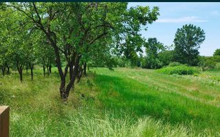 Casa si teren de vanzare - Poză 7