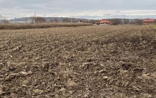 Teren de vanzare | 4.300 Mp | Cristian - Poză 3