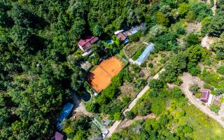 PROPRIETATE VÂNDUTĂ Casă conac cu 15.000 mp deal împădurit la Barațca, - Poză 15