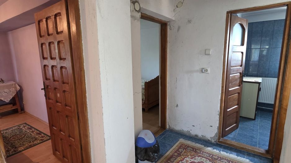 Casă / Vilă cu 8 camere de vânzare în Lapus, Craiova - Poză 15