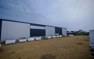 Închiriere Hală | 600 MP | Personalizabilă - Poză 4