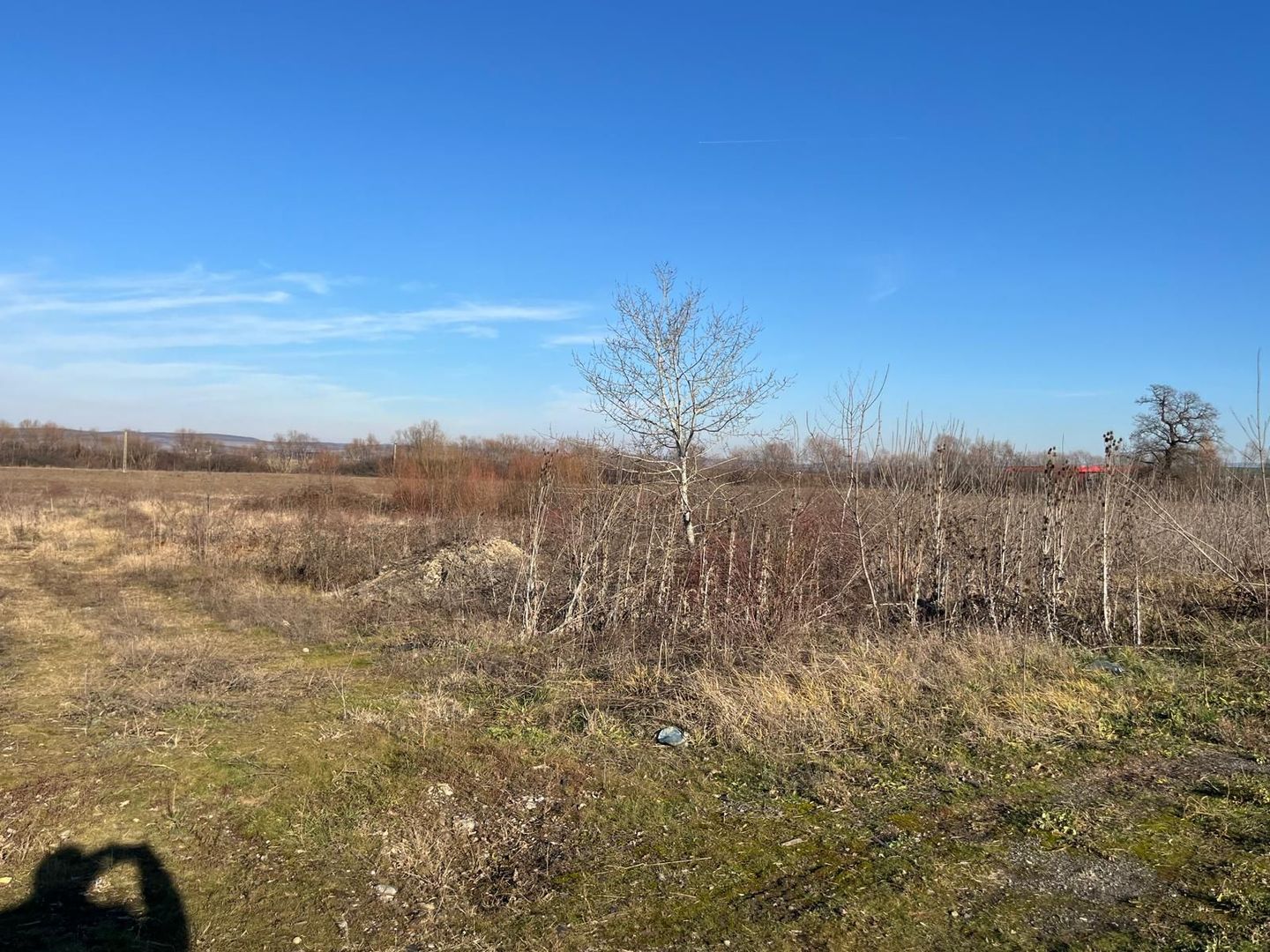 Teren intravilan, Săcădat, 27 921 mp. 9,5 Euro/mp. Comision 0. - Poză 3