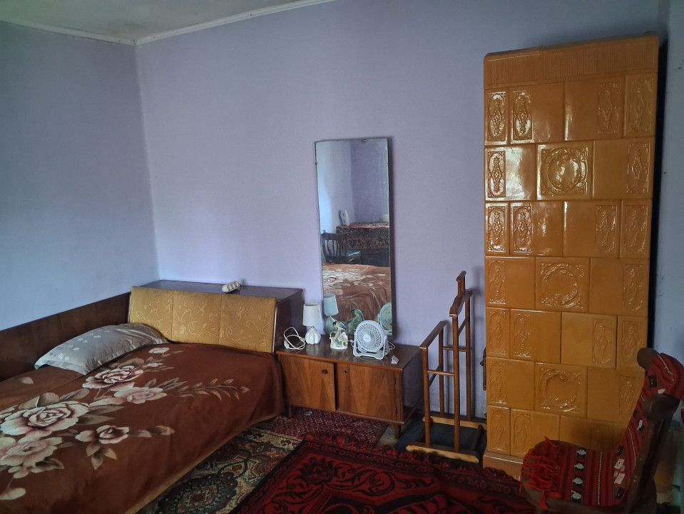 Casă tradițională cu teren generos – Borosteni, Peștișani, jud. Gorj - Poză 6