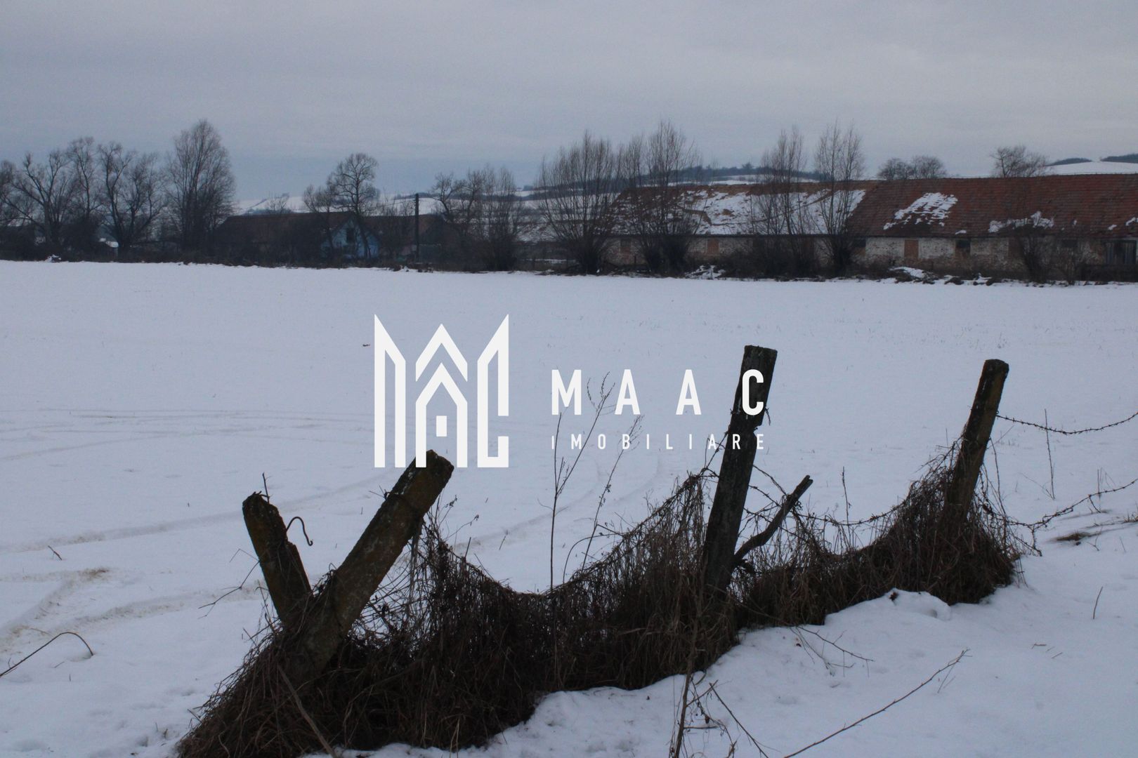 Teren 8000 mp I Intravilan I Utilitati- Vurpar - Poză 3