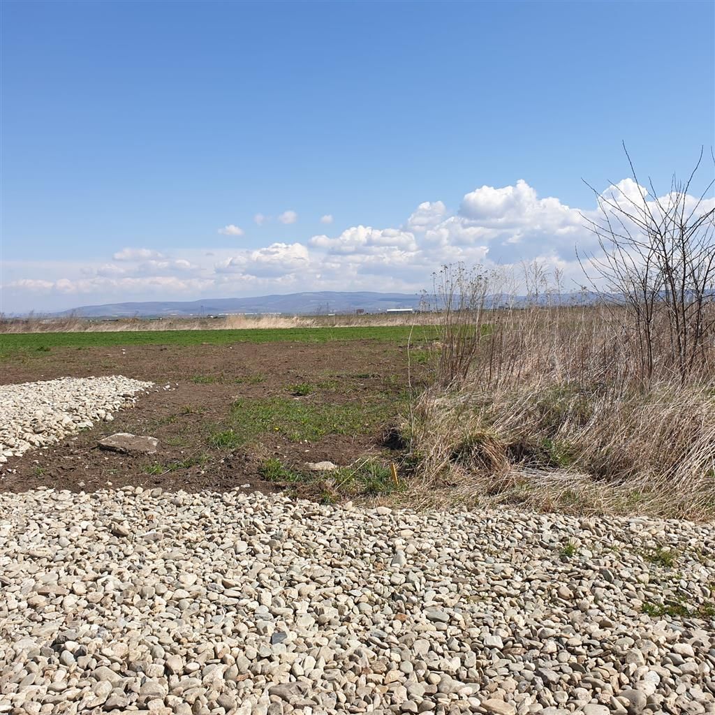 5.000 mp intravilan, parcelabil, Halchiu, Brasov - Poză 1