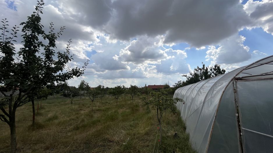 Casa Individuala Becicherecu Mic P+M,3 Camere,2 Bai,Teren 3400 mp,F.s 35m - Poză 5