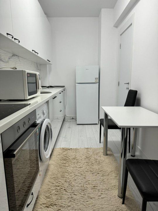 Garsoniera- Teodor Pallady - Poză 3