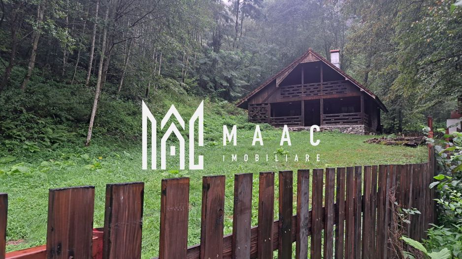 Paradis pe Transalpina in Sugag - Poză 23