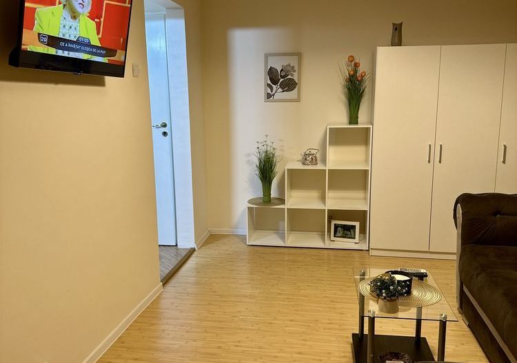 Lipovei | 1 Camera | Mobilat si Utilat. - Poză 3