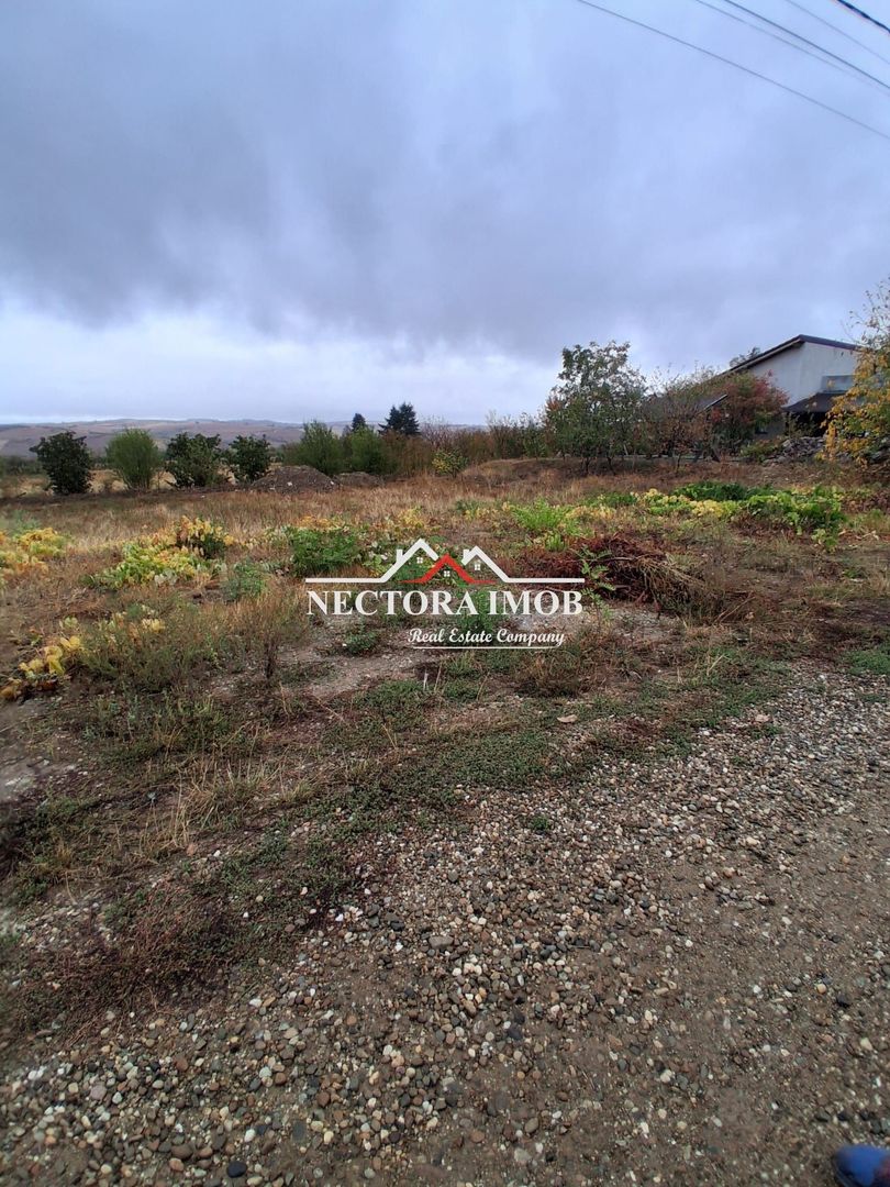 NECTORA IMOB-Teren Intravilan PALEU, 676 mp, Autorizatie Constructie - Poză 5