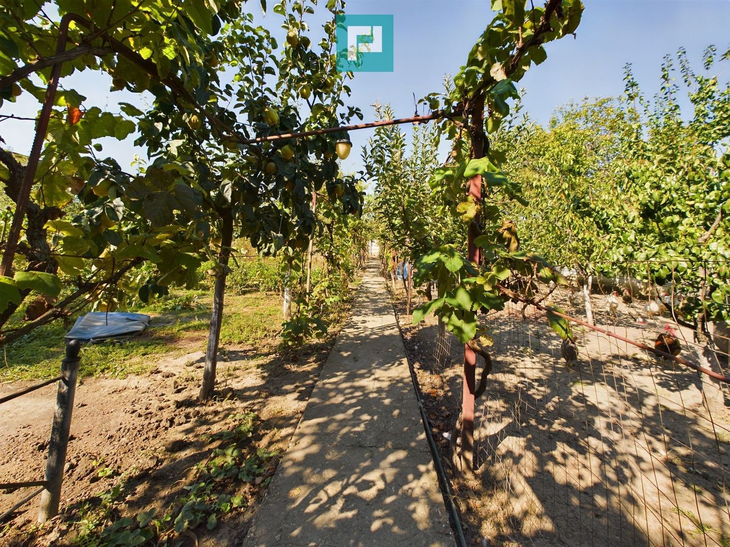 Casă cu multiple destinatii in Pârneava - Poză 10