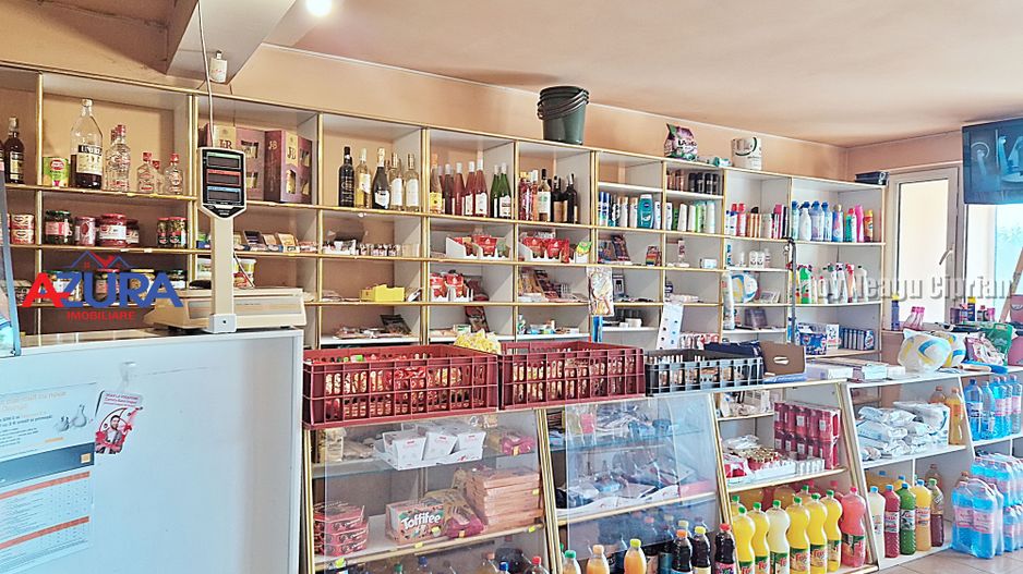 AZURA Imobiliare - Casa de Vanzare Micesti Central, Comision 0% - Poză 18