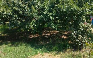 Teren intravilan de vanzare, 500 mp, Breazu - Rediu, Iasi - Poză 3