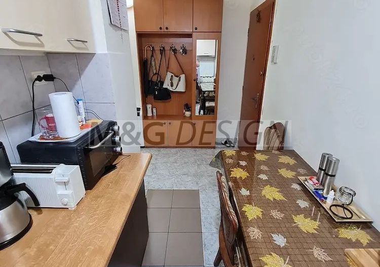 Lipovei, apartament 1 camera, parter, bloc izolat - Poză 7