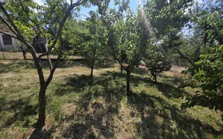 Casa de vânzare cu teren generos | Sumugiu | Bihor - Poză 33