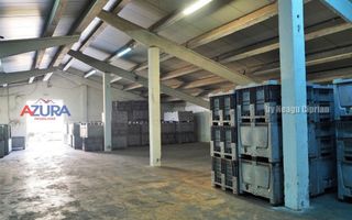 COMISION 0% - HALE Calinesti Arges - Poză 50