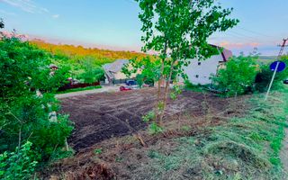 TEREN INTRAVILAN 500 MP REDIU - Pozitie excelentă - 49.000 Euro - Poză 5