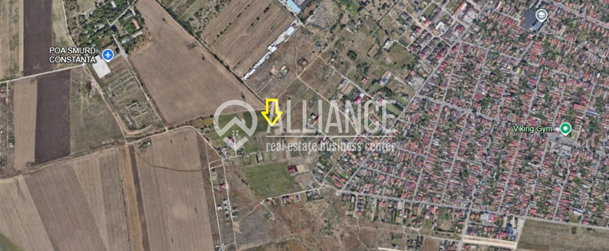 VIILE NOI - Teren în spate la Vila Cucoanei - Poză 2