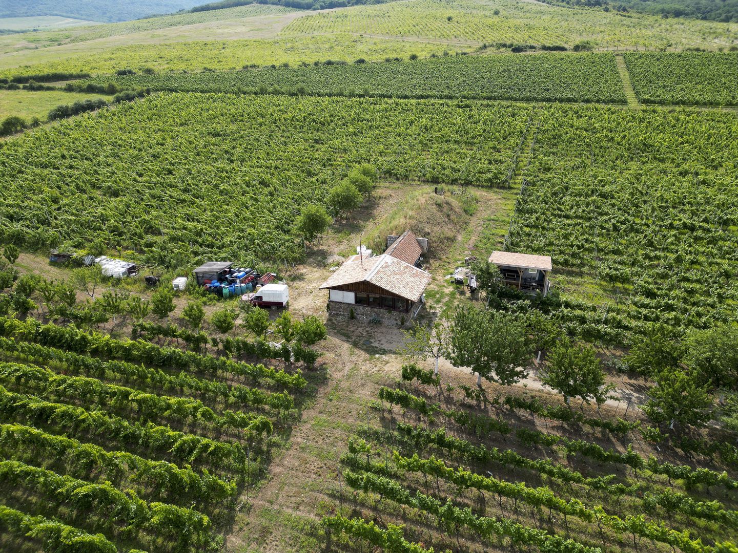 Vie Tradițională „Halta Lupilor” - Poză 41