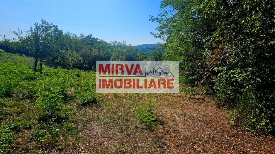 🌳 Teren intravilan 2322 mp, Păcuri – vedere superbă spre pădure! 🏡✨ - Poză 5