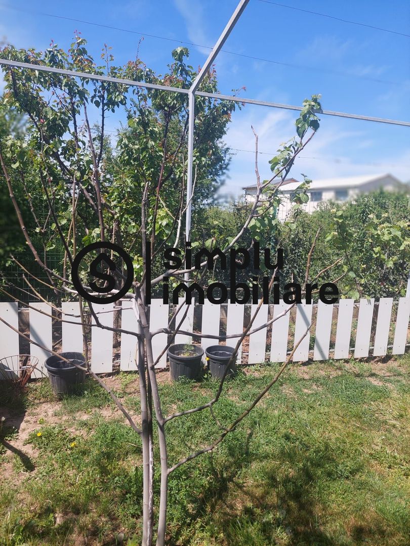 Teren intravilan-zona Metro - Poză 10