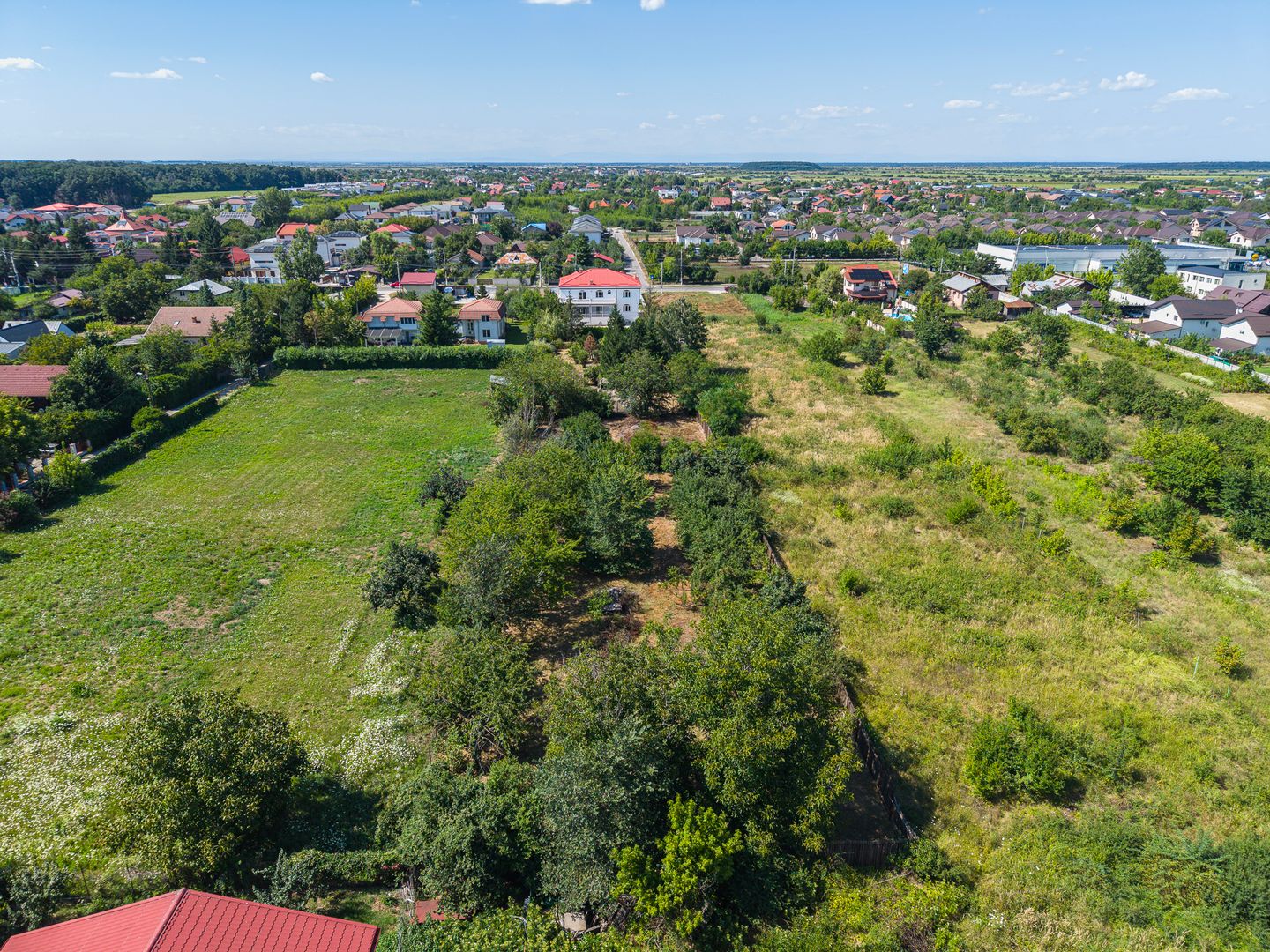 Domeniu privat 5.000 mp, cu reședință de 625 mp și piscină, Corbeanca - Poză 45