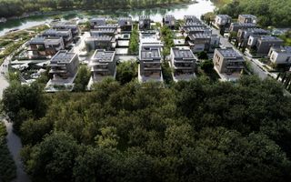 Silistea Snagovului, Teren 23.761 mp, deschidere 226 ml catre lac - Poză 5