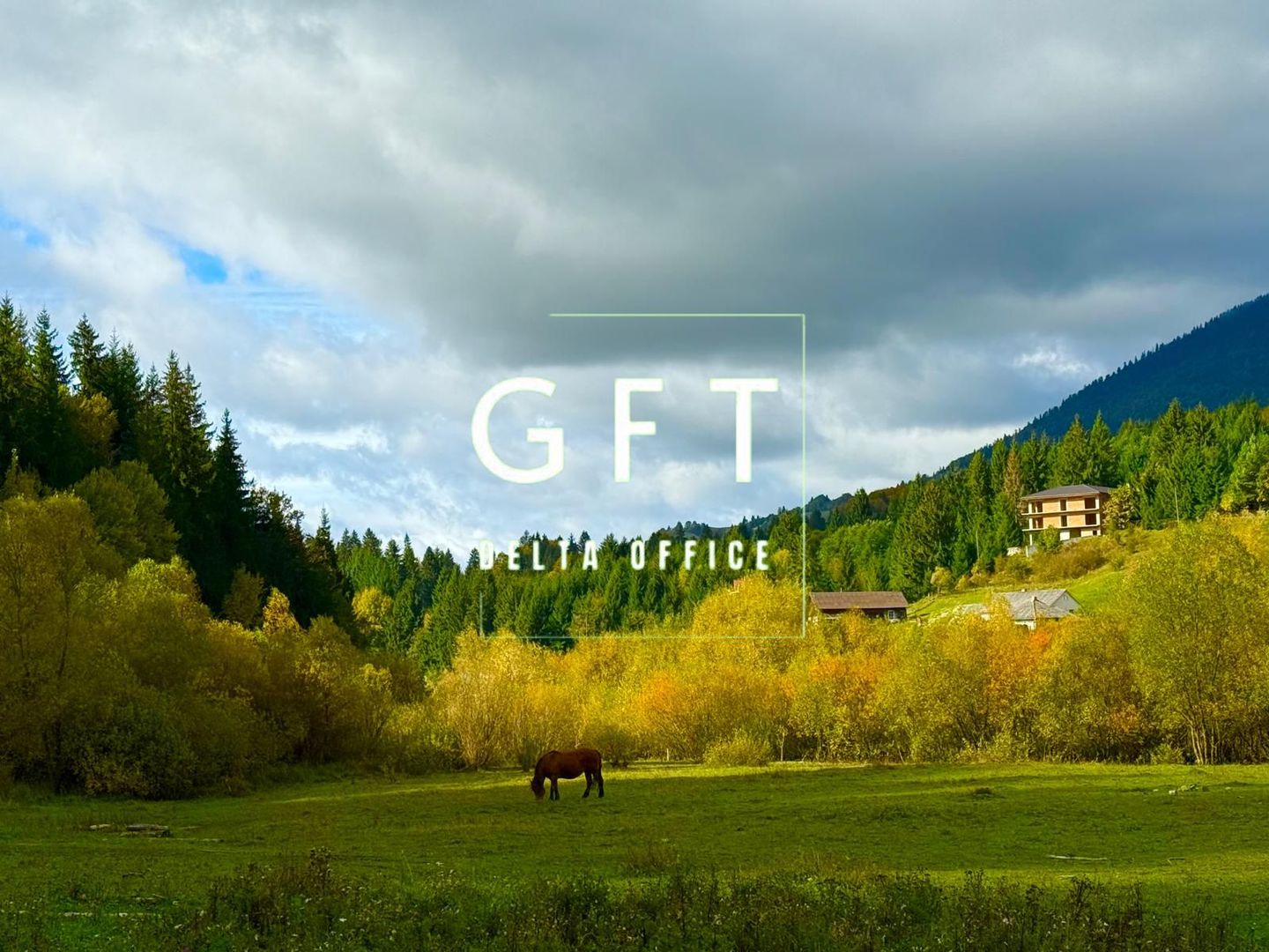 Teren de vanzare in Colibita , 500-6000 mp - Poză 2