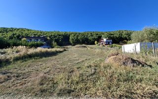 Teren 2090 mp Stefanesti-Rebreanu zona superba - Poză 4