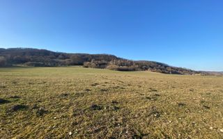 Teren de 7.500 mp de vânzare în Bradu, Avrig-COMISION 0% – lângă râul Olt. - Poză 5