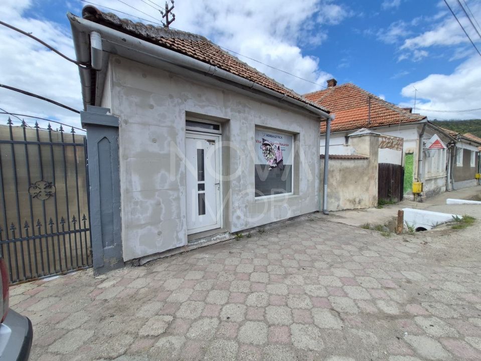 Spatiu de inchiriat - Seica Mare - Poză 3