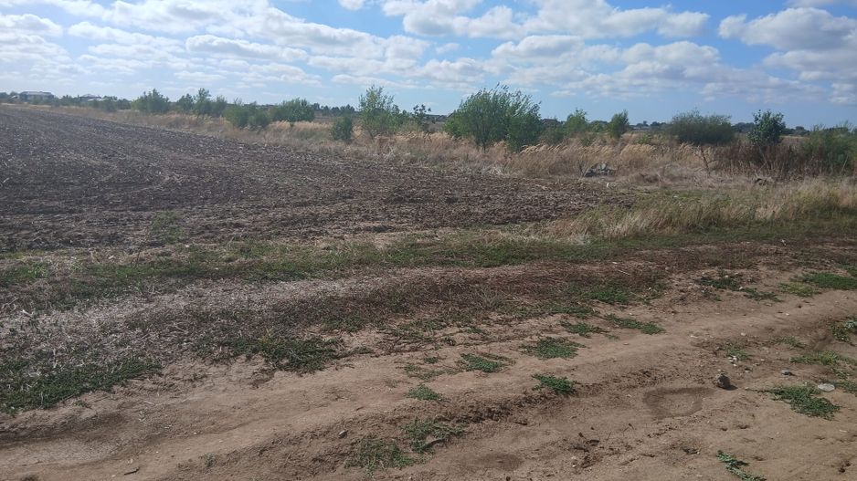Teren de vanzare 4500mp Strada Rasaritului Darvari Ciorogarla A0 - Poză 2