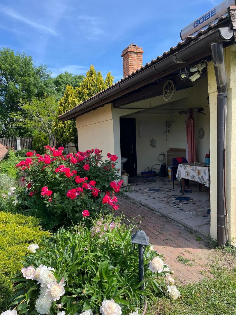 Casă elegantă, spațioasă, ideală pentru familie – Sanmihaiu Roman - Poză 27