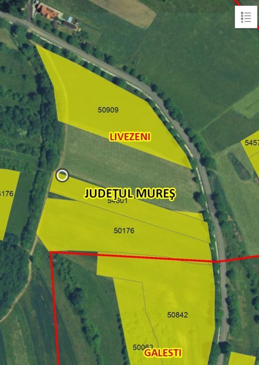 Teren intravilan -Sânișor- 8700 mp - Poză 4