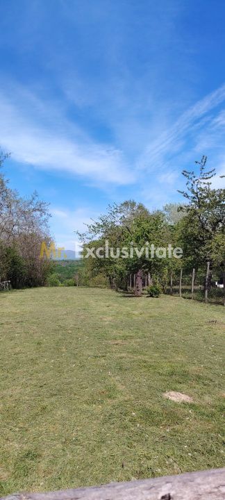 Teren zona montana in com.Turcinesti Jud.Gorj - Poză 8