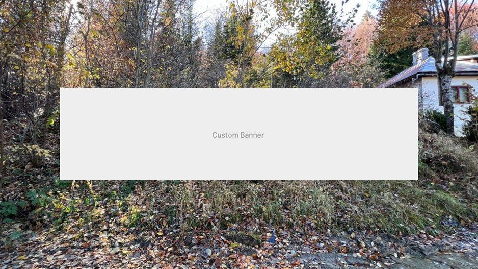 Teren 500 metri - central Sinaia - ideal constructii - Poză 3