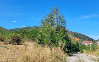 TEREN 5000 MP I SĂLIȘTE I PARCELABIL - Poză 8