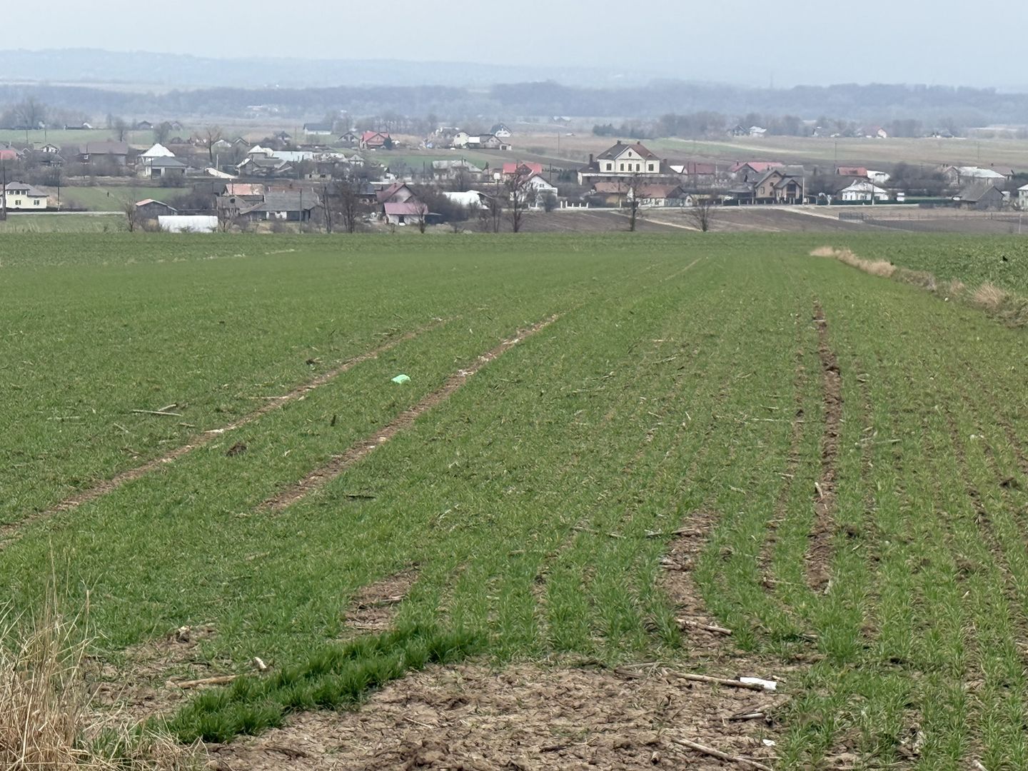 Teren intravilan | Grănicesti | 32 ARI - Poză 4