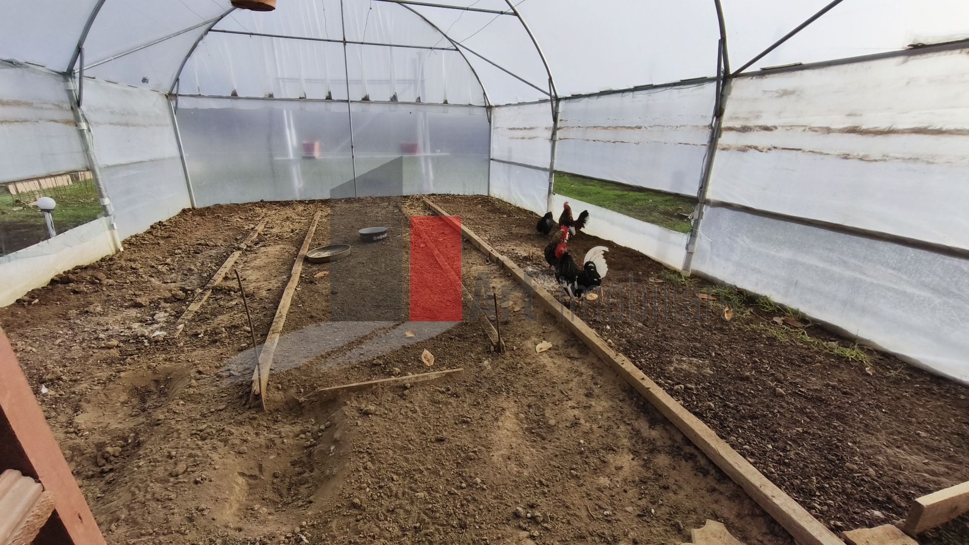 Casa curte cu teren 1600 mp Manolache - Poză 8