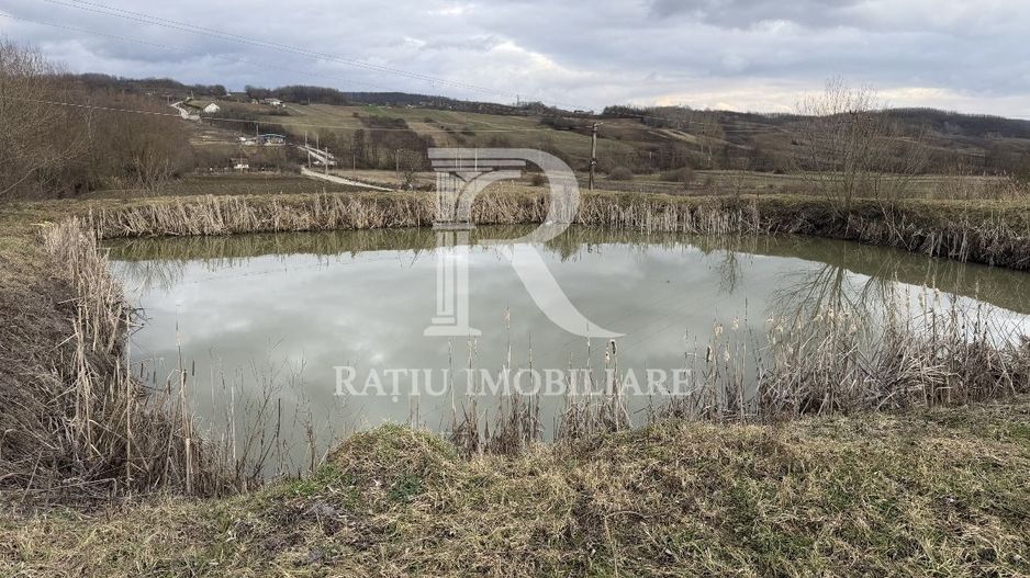 Pescărie cu teren intravilan | Drăgești | Bihor - Poză 4